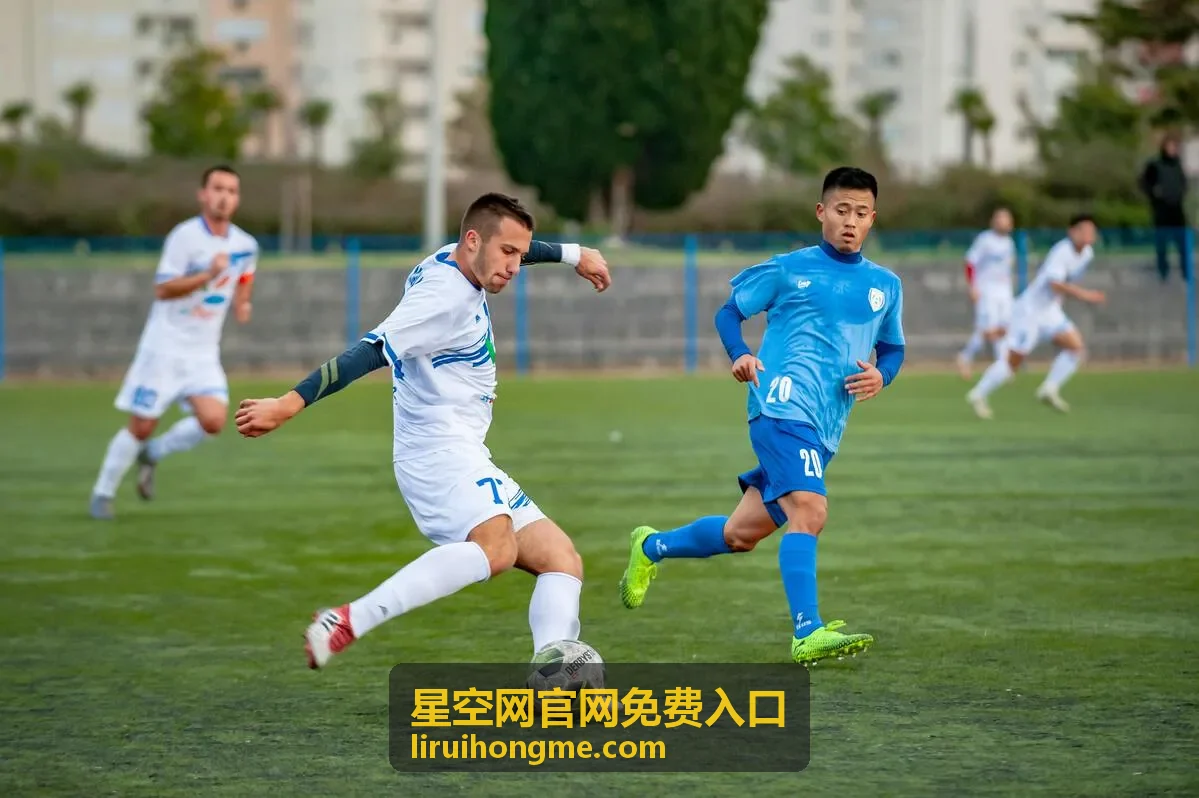 星空网官网免费入口线路检测指标说明与异常处理