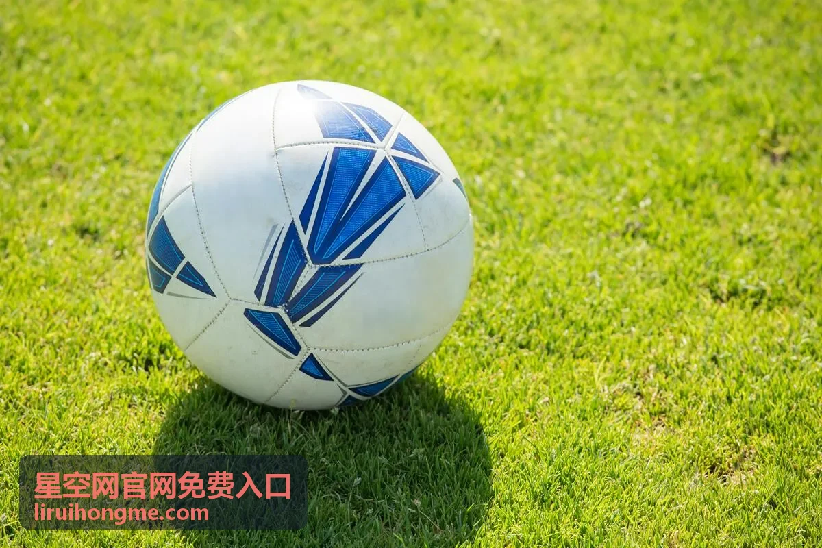 星空网官网免费入口移动端访问与安全建议配图